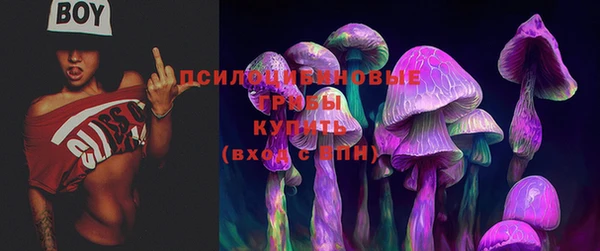 сатива Абинск
