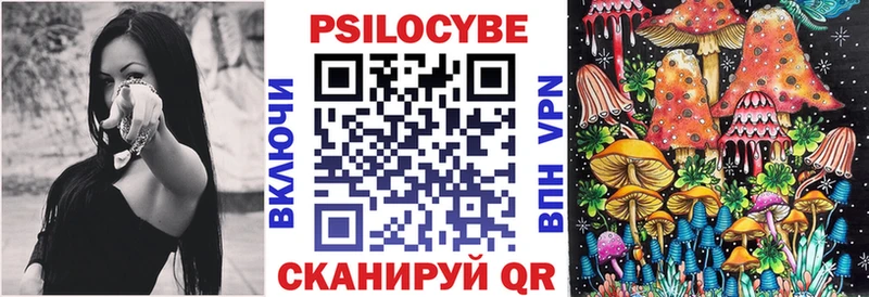 купить  сайты  Зерноград  Псилоцибиновые грибы GOLDEN TEACHER 