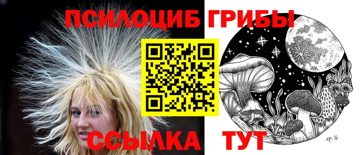 Зерноград  Галлюциногенные грибы Magic Shrooms  Вход с VPN  Псилоцибиновые грибы мухоморы 